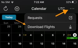 Downloading flights for Offline and Airplane Mode