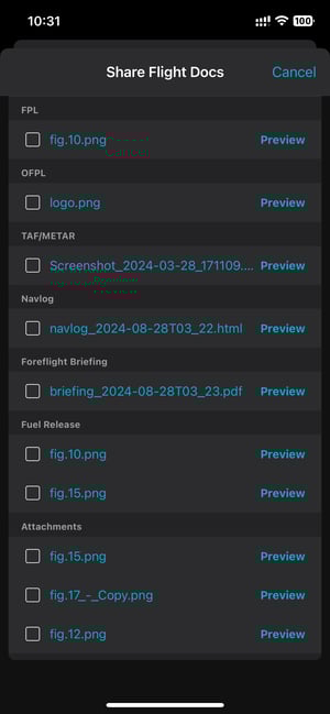 Integration with Share Flight Documents