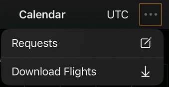 More Options Icon