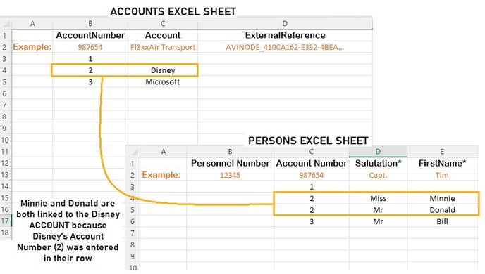 Persons Accounts link