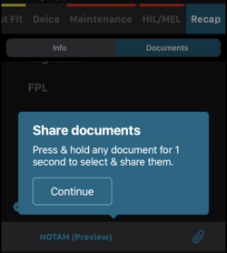 Selection of Multiple Flights & Documents