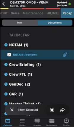 Selection of Multiple Flights & Documents