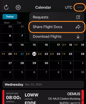 Selection of Multiple Flights & Documents