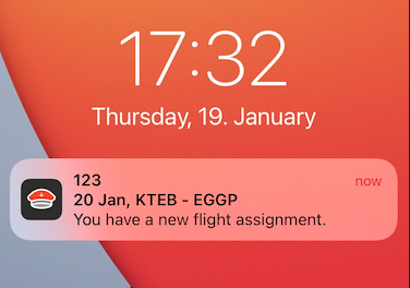 Flight Assignment
