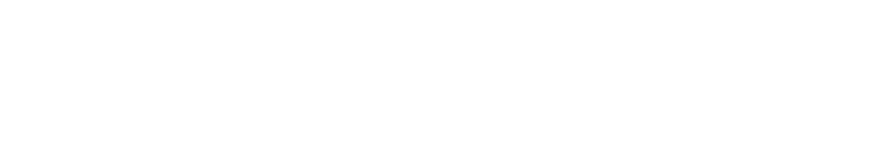 FL3XX-White-Logo (1)