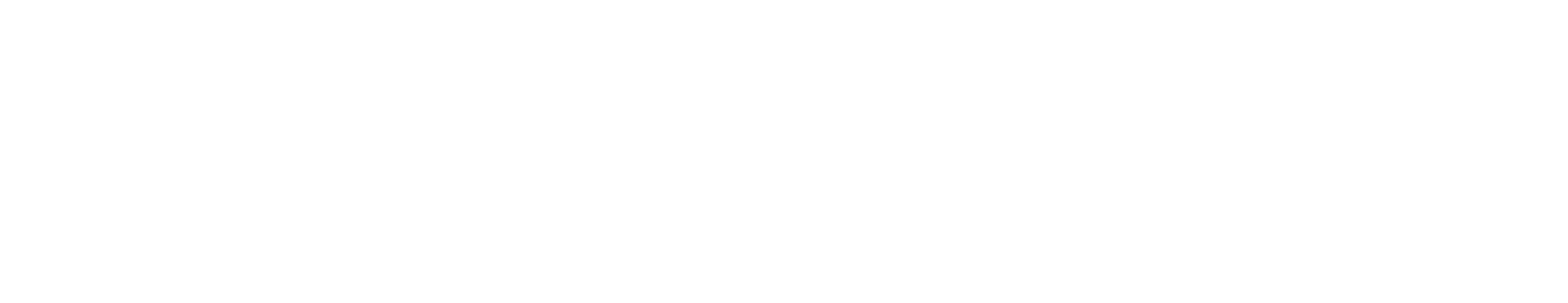 FL3XX-White-Logo (1)